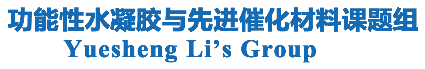 功能性水凝胶与先进催化材料--李月生